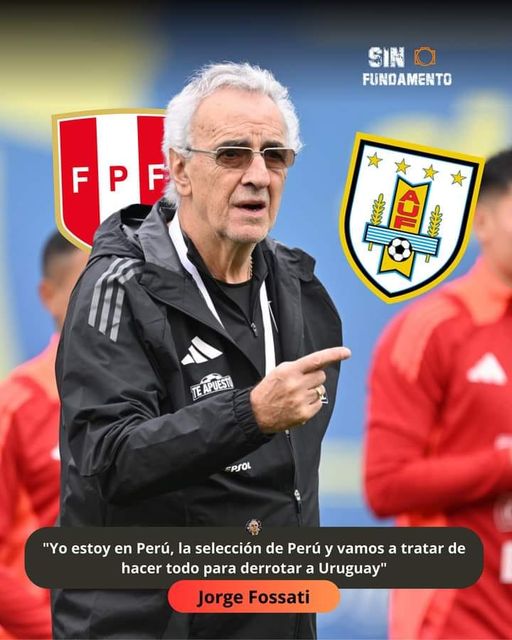 DECLARACIONES DEL PROFESOR FOSATTI